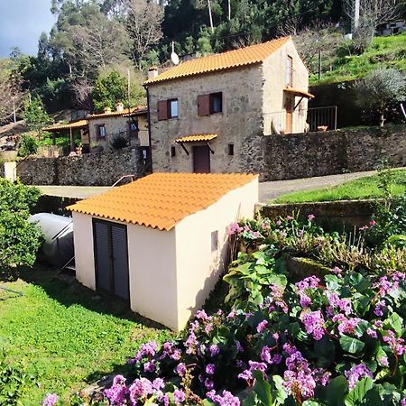 Вилла Quinta Da Costeira Север-ду-Вога Экстерьер фото