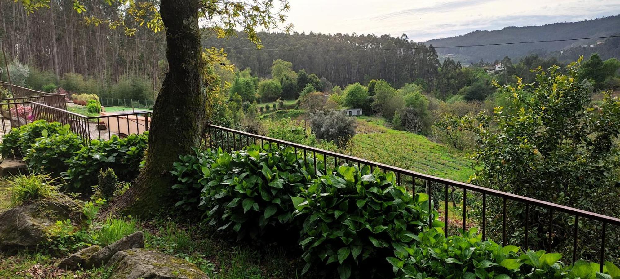 Вилла Quinta Da Costeira Север-ду-Вога Экстерьер фото